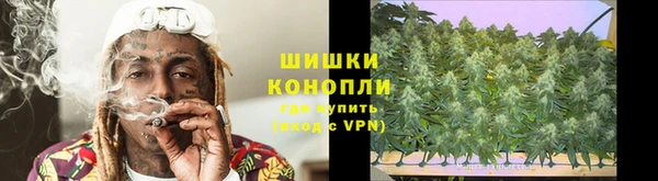 сатива Баксан