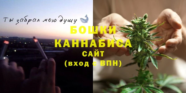 PSILOCYBIN Балахна