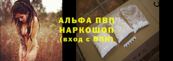 PSILOCYBIN Балахна